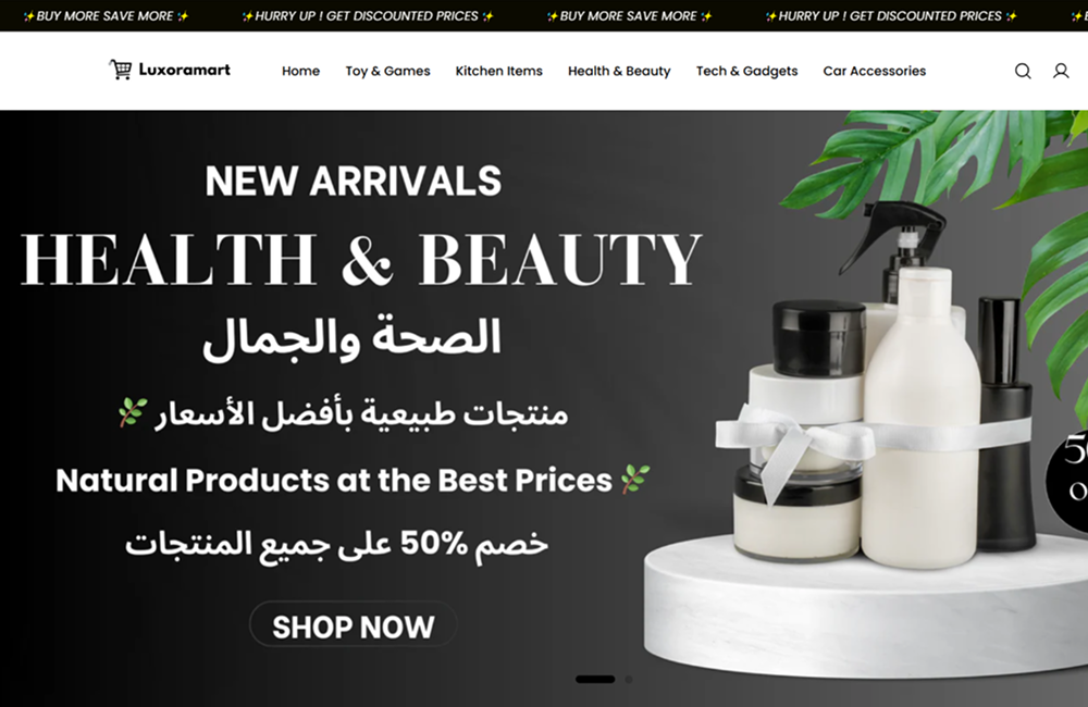 Shopify store portfolio