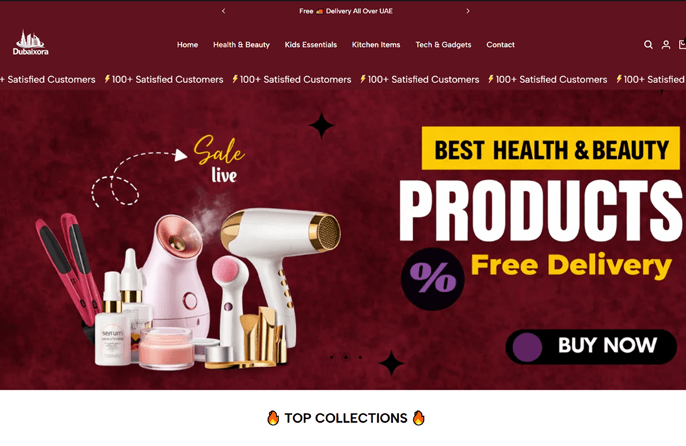 Shopify store portfolio