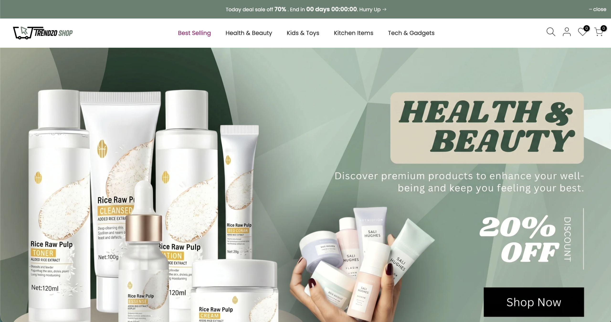 Shopify store portfolio