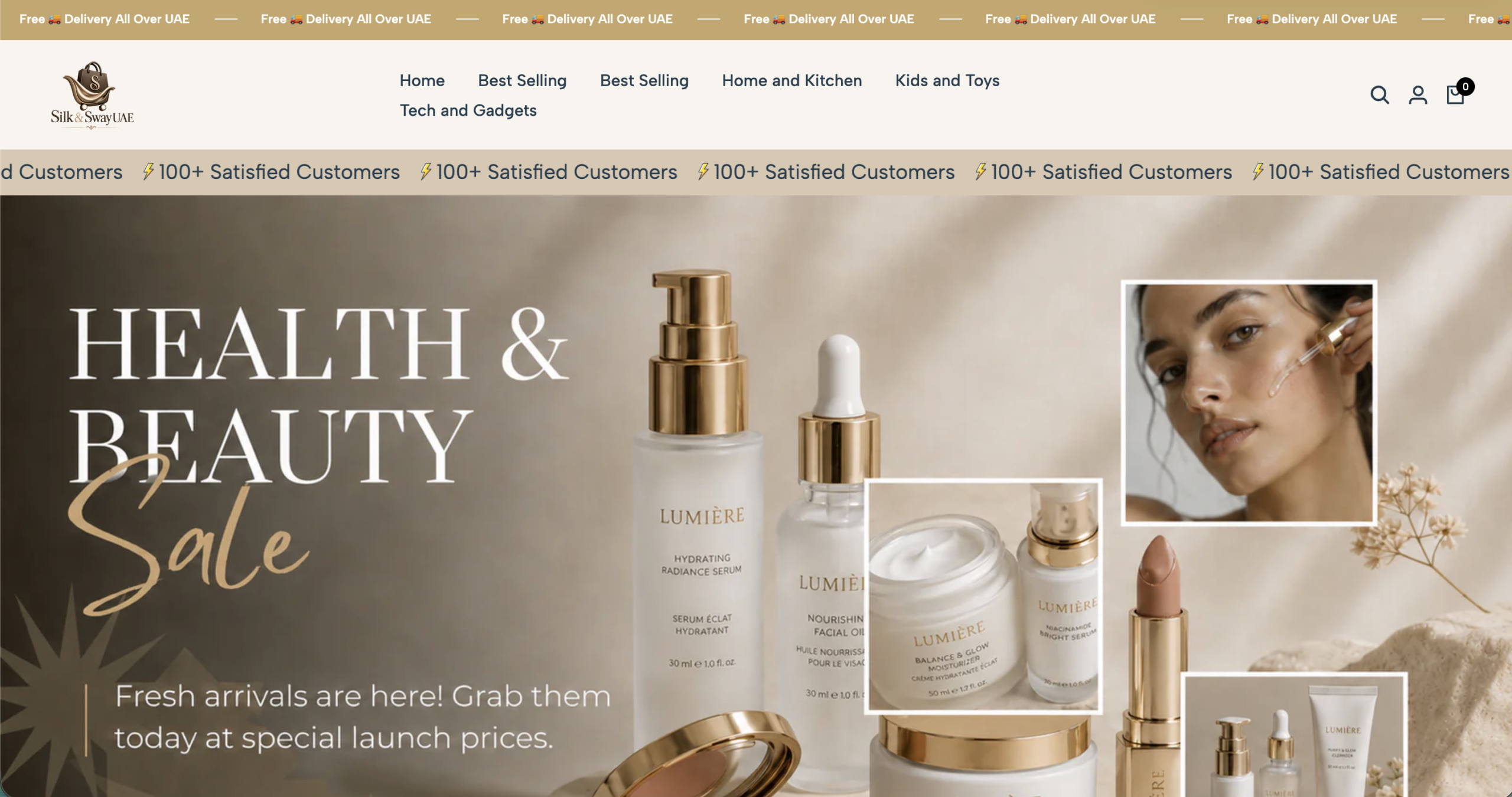 Shopify store portfolio