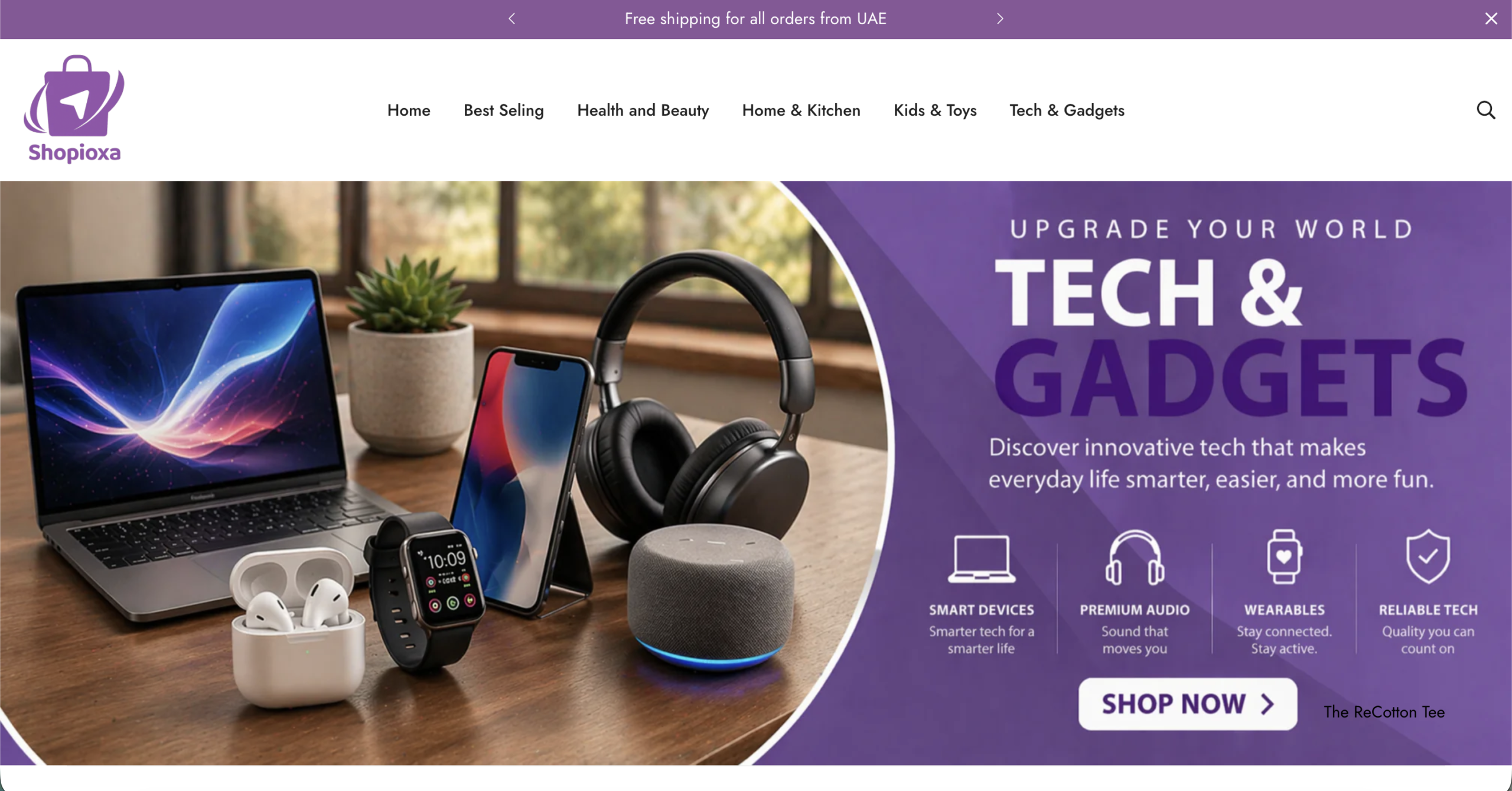Shopify store portfolio