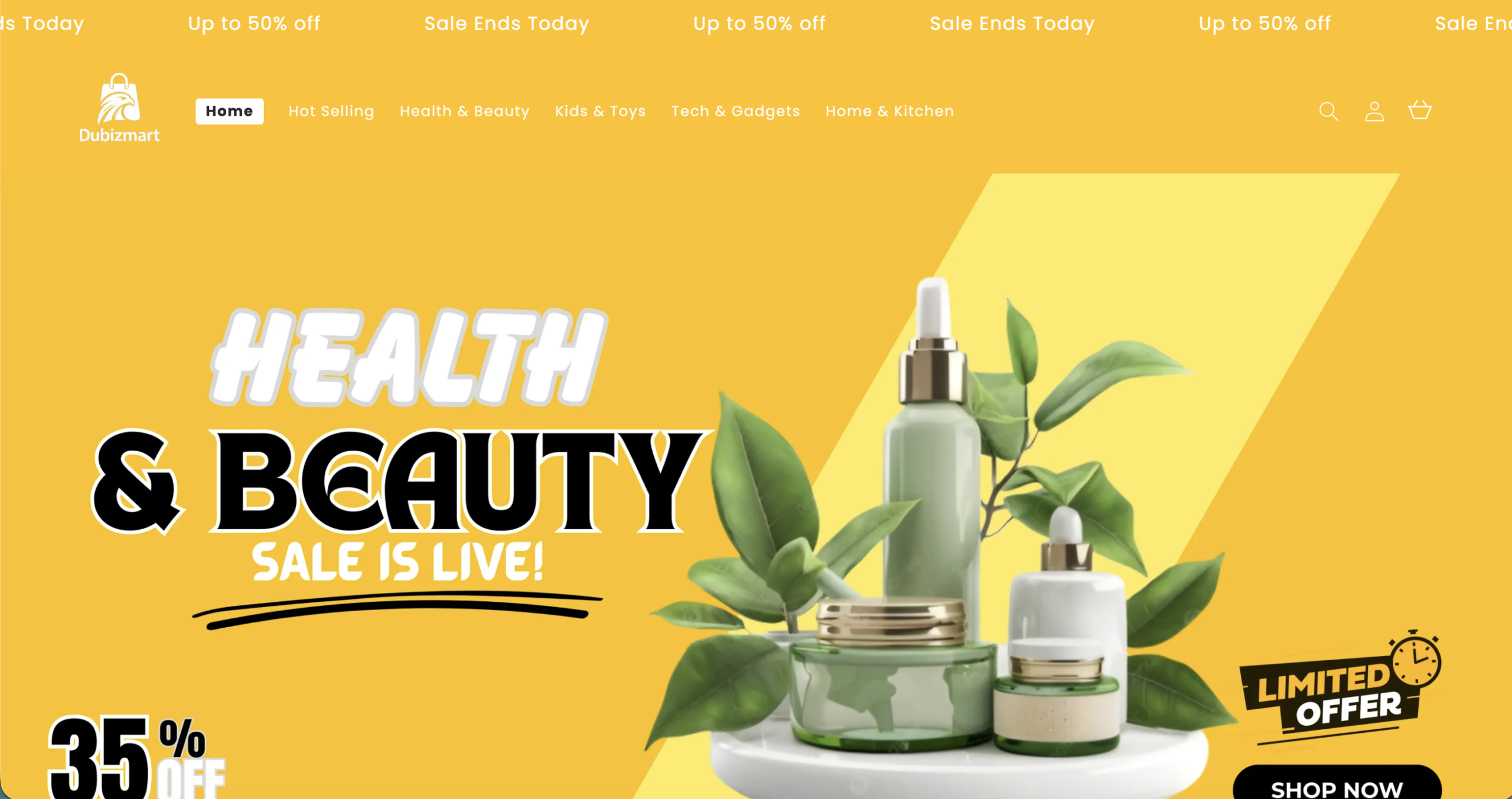 Shopify store portfolio